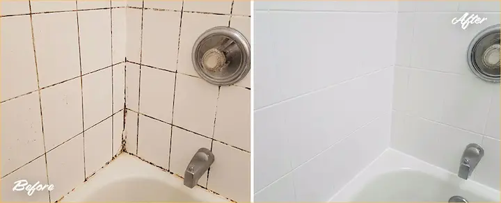 Say Goodbye to Mold, Rust, and Limescale